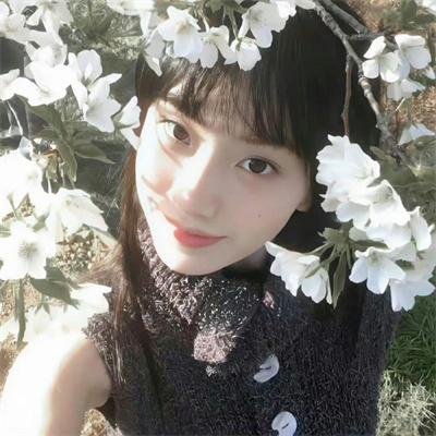 酋长之子塔赞